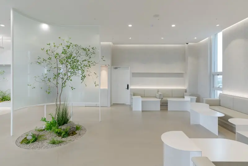 A white room with a tree at its centre.